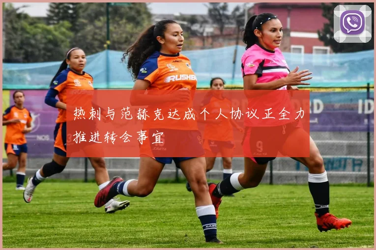 热刺与范赫克达成个人协议正全力推进转会事宜